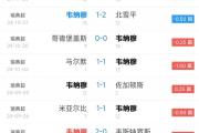 开云体育APP下载-瑞典队客场惊险逆转，晋级欧洲杯资格领先