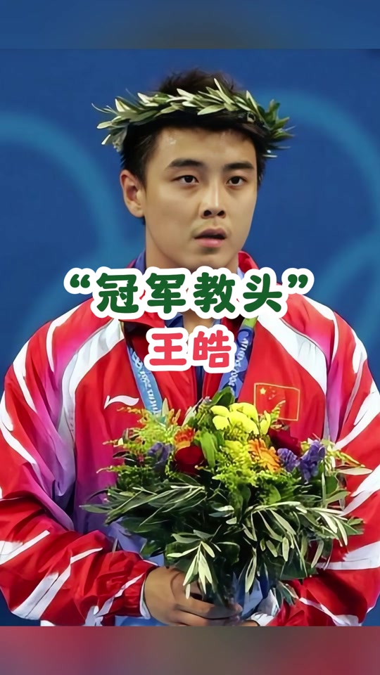 关于日本乒乓球队强势法国乒乓球队，王皓高光表现的信息