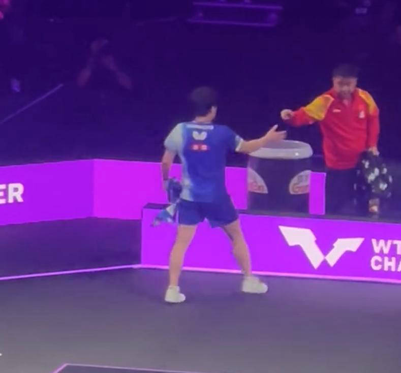 日本队碾压德国队，王皓统治全场