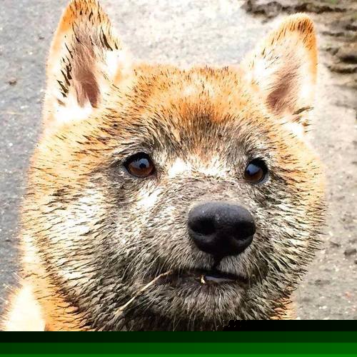 76人火力全开压制热火，浓眉关键先生定乾坤