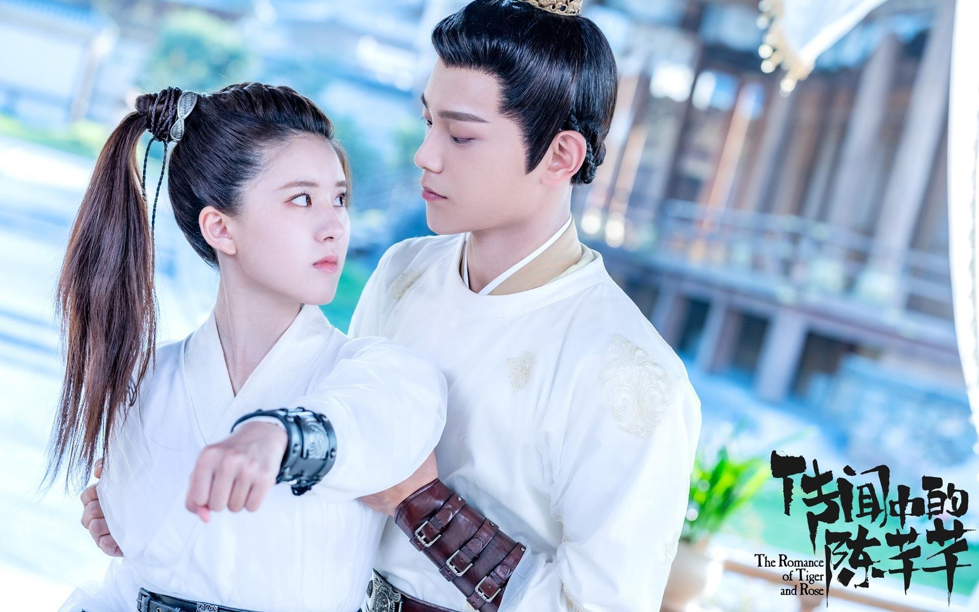 铁闸崩塌之夜，特奥如何用一场比赛改写荷兰足球的进攻密码