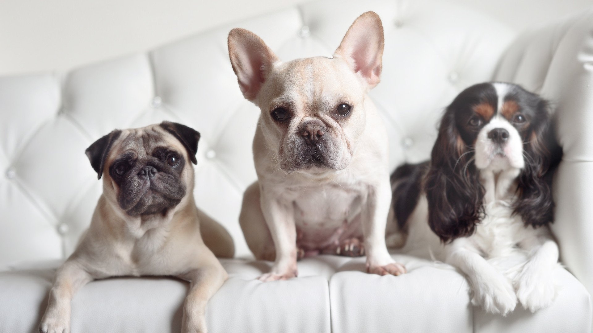 基米希，于无声处听惊雷