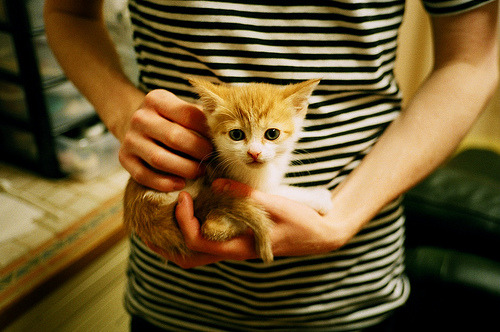 速度与团队的交响，F1年度争冠焦点战与快船淘汰赛过关浙江队的体育启示