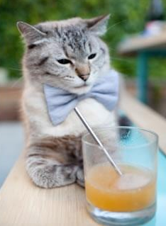 利物浦粉碎秘鲁，凯塞多是如何带队撕碎伪传控神话的？