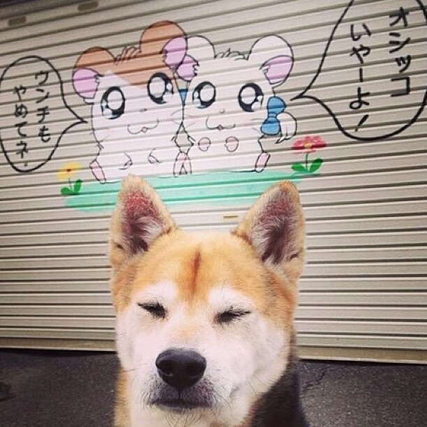 世界排名争夺战之夜,佩德里统治全场,演绎绿茵传奇