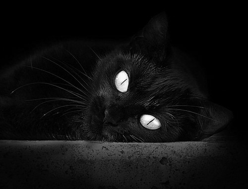 烈焰与寒冰，爱德华兹统治末节，鹈鹕强行终结热火