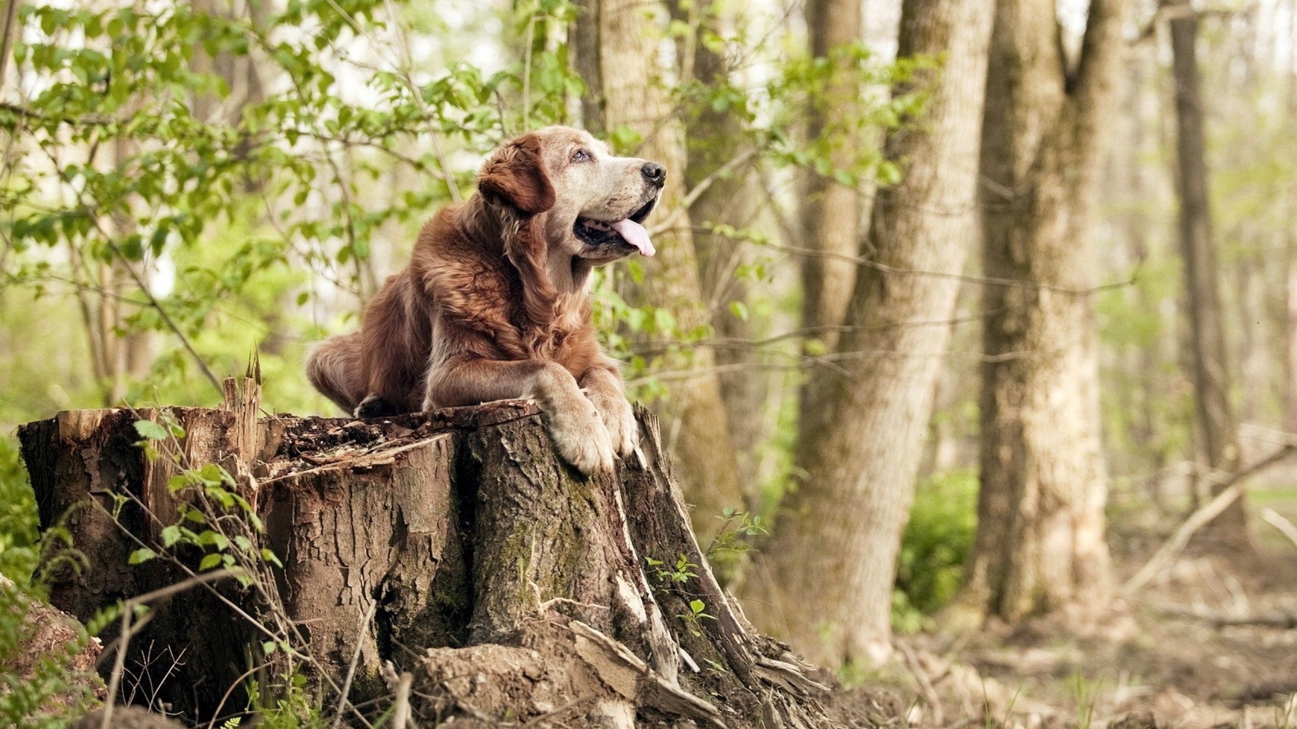 一个人的烈火,一支团队的冰霜