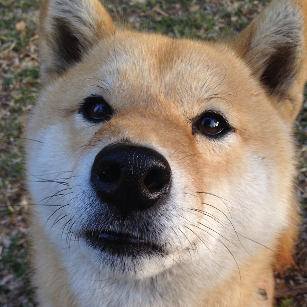 狂轰42+9!吉林外援乔治打崩辽宁防线 主场球迷高喊MVP